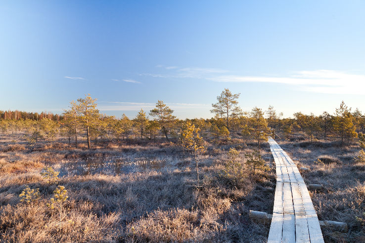 Madona Trip Packages