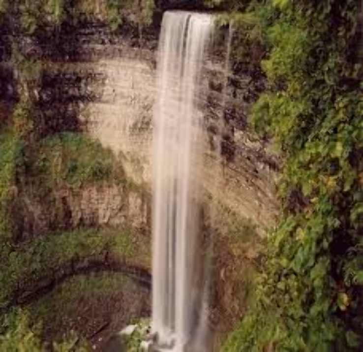 Tews fall  Trip Packages