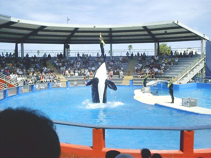Miami Seaquarium  Trip Packages