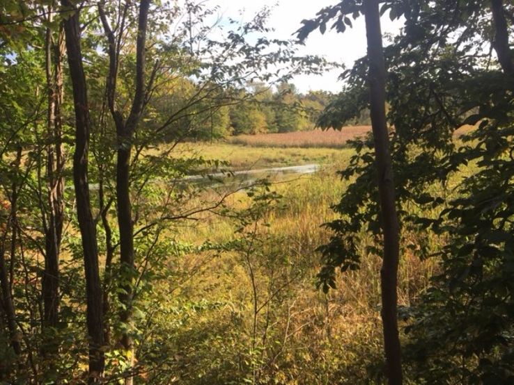 Gales Pond County Park Trip Packages