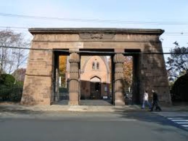 Grove Street Commentary  Trip Packages