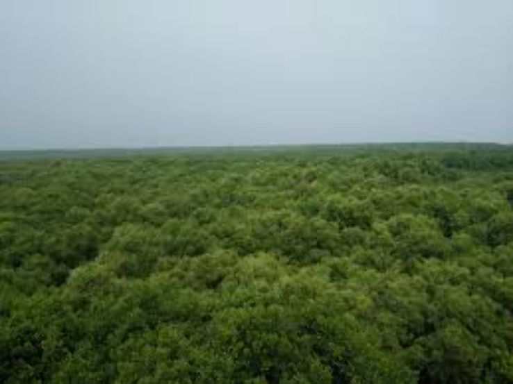 Coringa Wildlife Sanctuary  Trip Packages