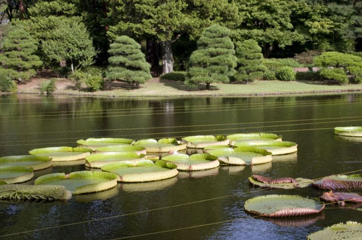 Jindai Botanical Gardens Trip Packages