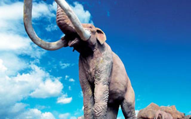 Baconao Park Santiago de Cuba Trip Packages