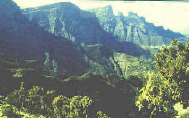 Addis Ababa Trip Packages
