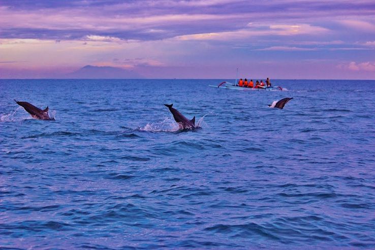 Watch dolphins at sunrise at Lovina Beach  Trip Packages