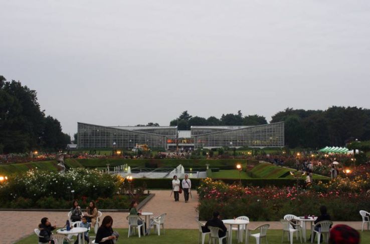 Jindai Botanical Gardens Trip Packages