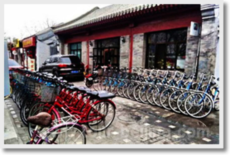 Bicycle Tours  Trip Packages