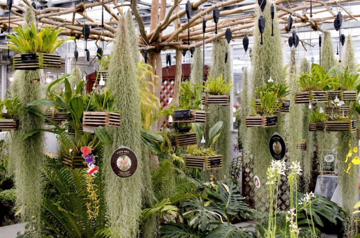 Jindai Botanical Gardens Trip Packages