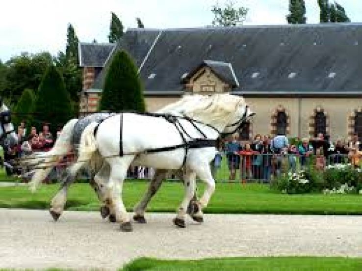 Haras national de Saint Lo Trip Packages