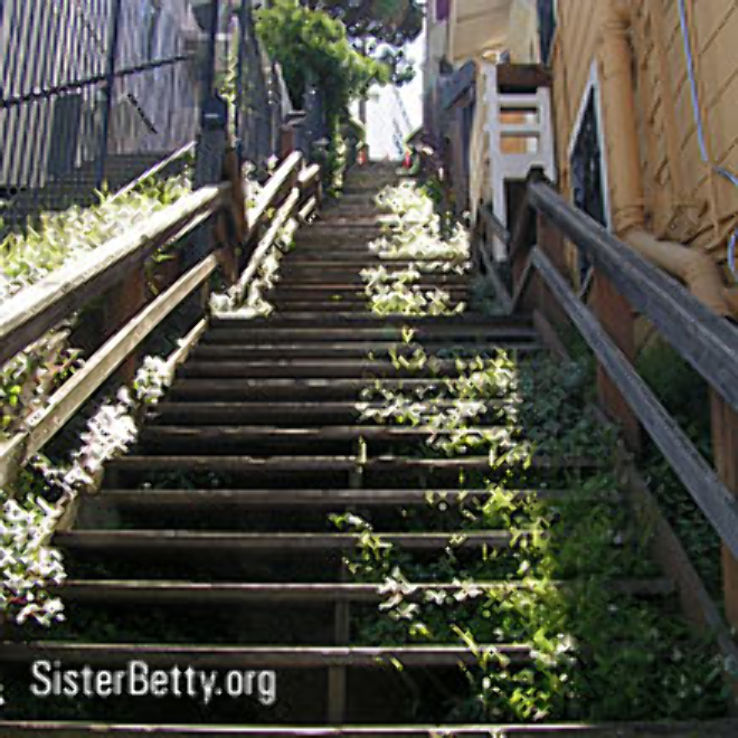 Climb a secret stairway  Trip Packages