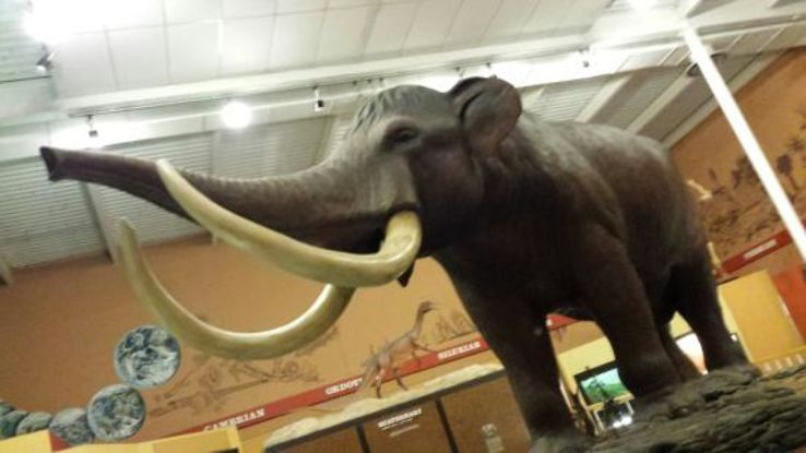 Schiele Museum of Natural History Trip Packages