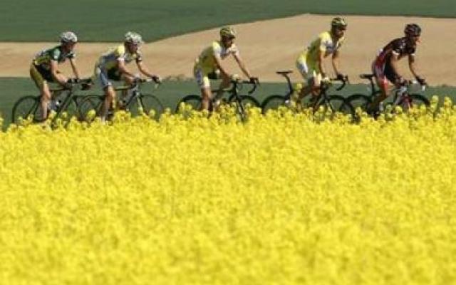 Cycling in Belgium Trip Packages