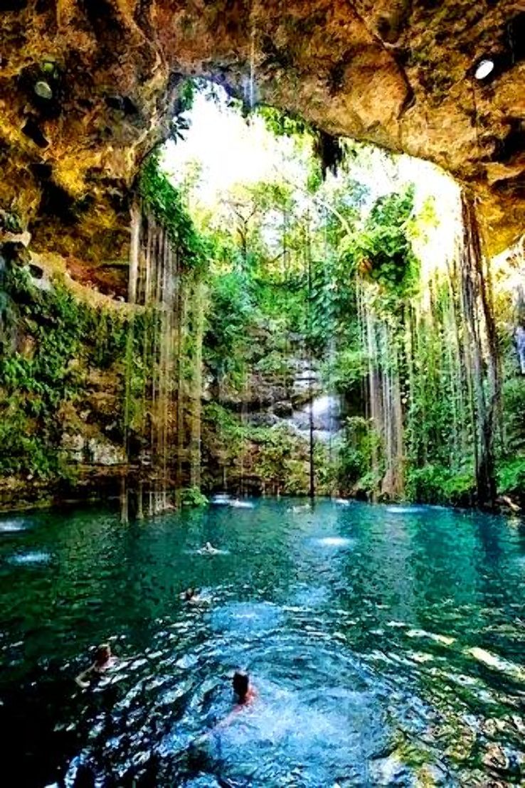 Xcaret Park  Trip Packages