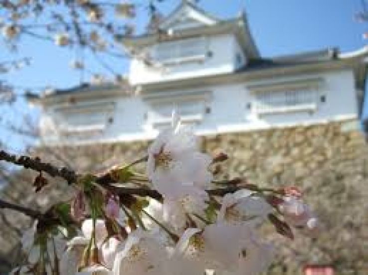 Tsuyama Castle Trip Packages