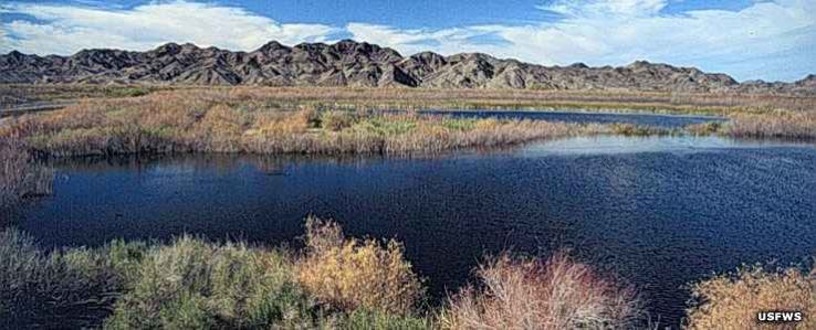 The Imperial National Wildlife Trip Packages