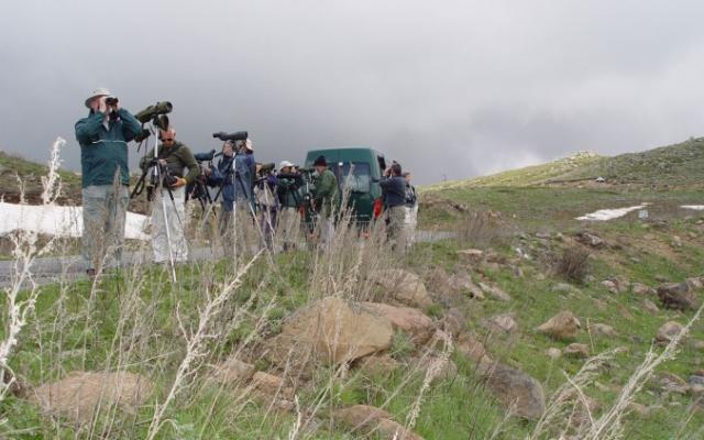 Tsaghkadzor Trip Packages