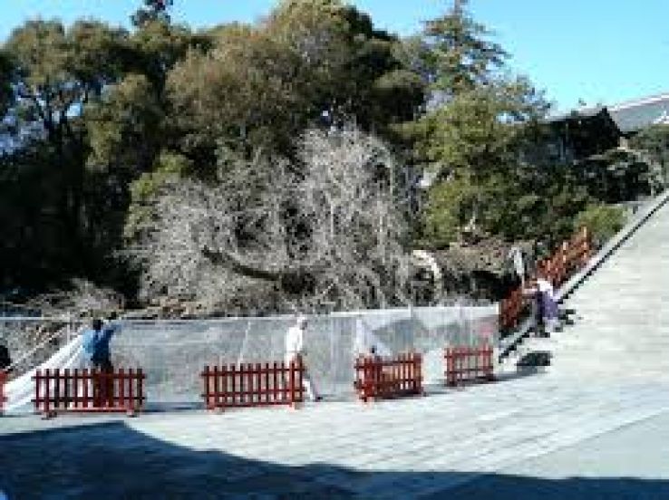 Hachiman Shrine Hatogamine Trip Packages