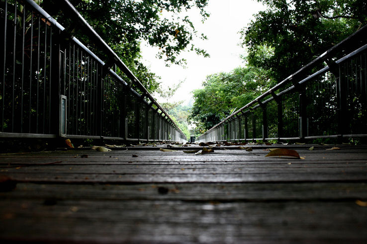 Putrajaya Botanical Garden Trip Packages