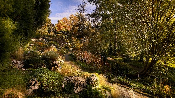 Botanical Garden Bern Trip Packages