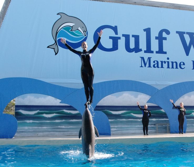 Gulf World Marine Park Trip Packages