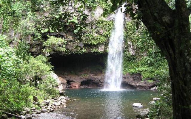 Bouma National Park: Taveuni Island Trip Packages
