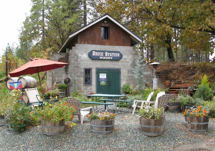 Brice Station Vineyards Trip Packages