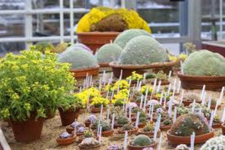 Gothenburg Botanical Garden Trip Packages