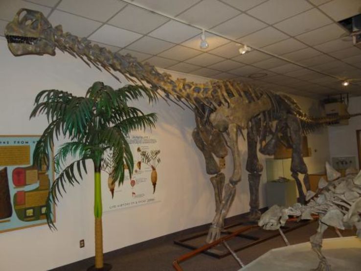 BYU Museum of Paleontology Trip Packages