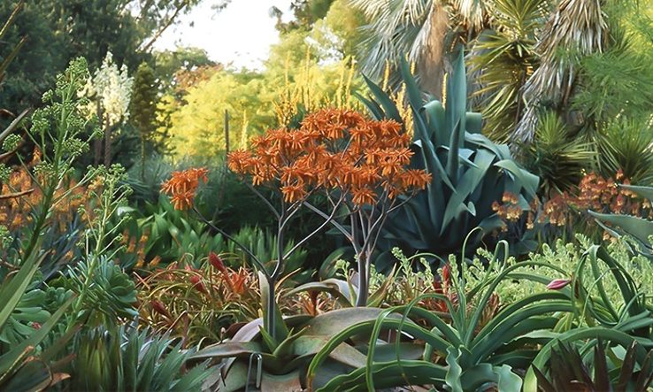 Ruth Bancroft Garden Trip Packages