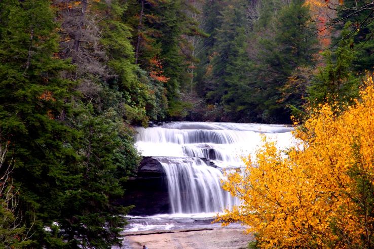 DuPont State Forest  Trip Packages