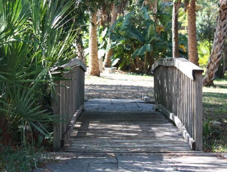  University of South Florida Botanical Gardens Trip Packages