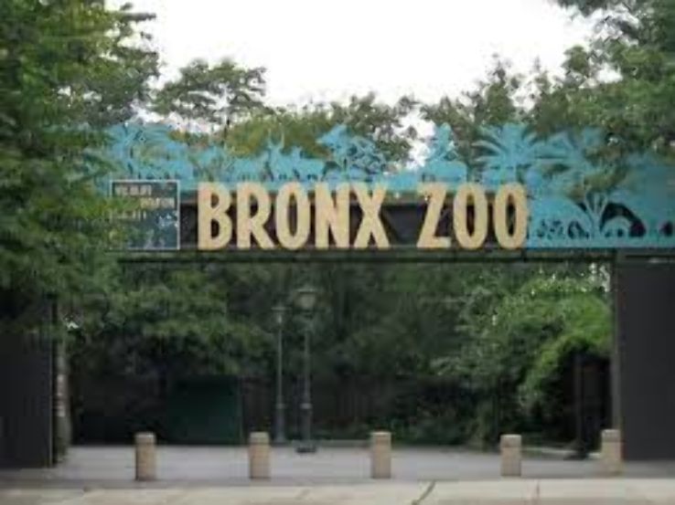 Bronx Zoo Trip Packages