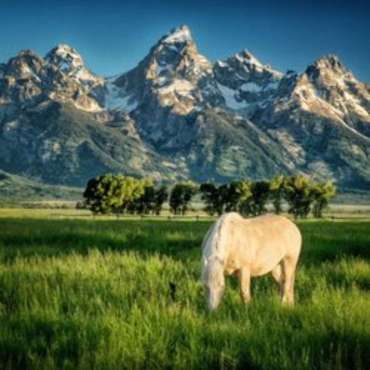 Mormon Row Historic District Trip Packages