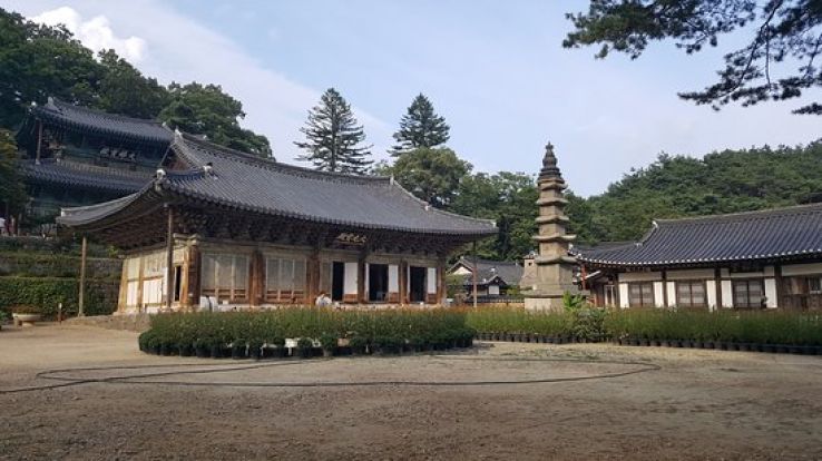 Gongju Trip Packages