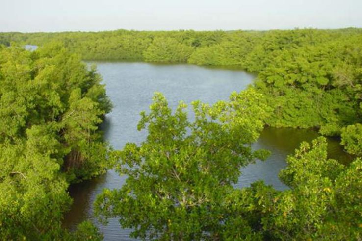 Caroni Bird Sanctuary Trip Packages