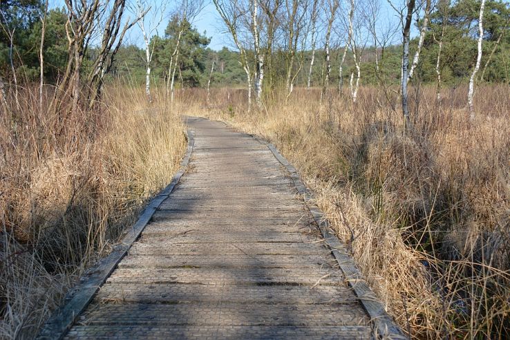 Eersel Trip Packages