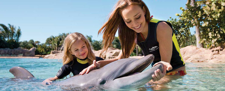 Discovery Cove Trip Packages