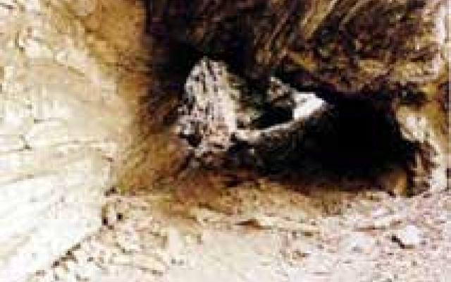 Matanzas Trip Packages