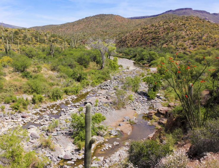 Spur Cross Ranch Conservation Area Trip Packages