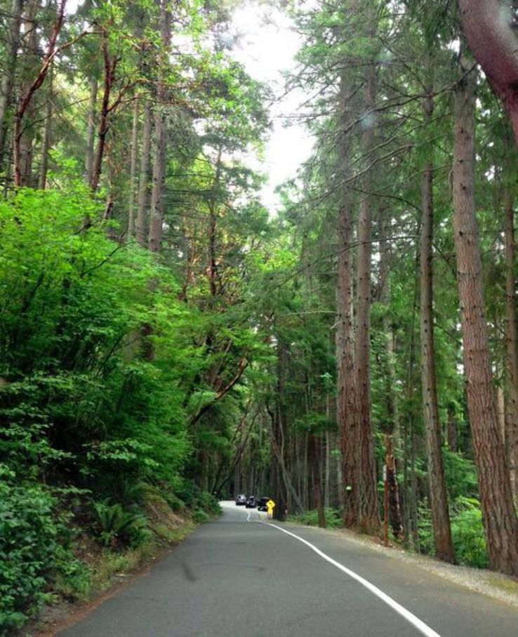 Five Mile Drive and Trails Trip Packages