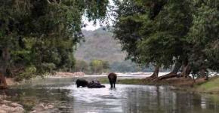 Galibore Fishing Camp Trip Packages