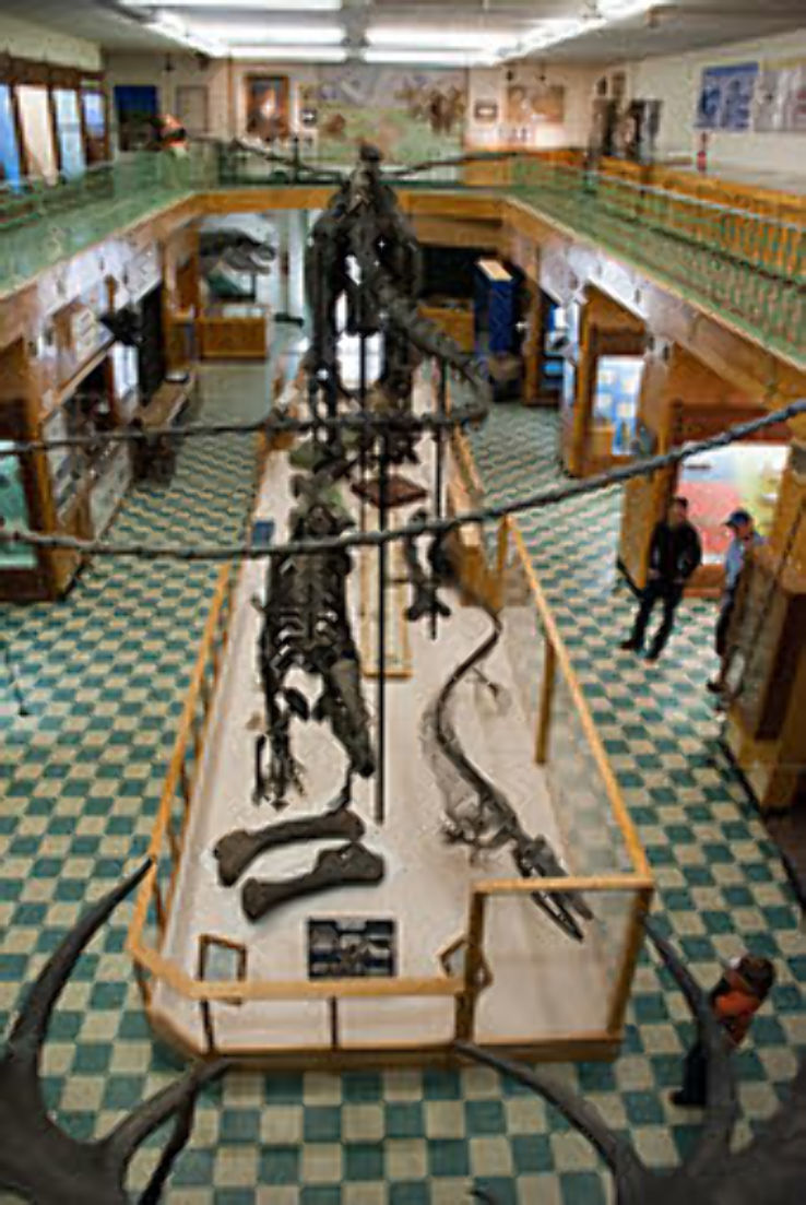 University of Wyoming Geological Museum Trip Packages