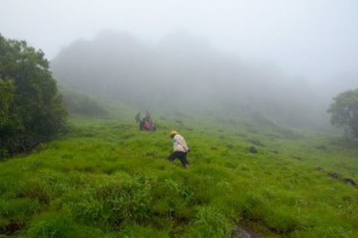 Chikkamagaluru Trip Packages