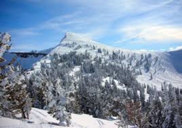 Grand Targhee Ski Resort Trip Packages
