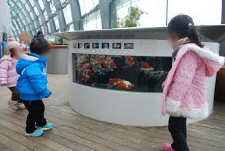 Aquamarine Fukushima Trip Packages