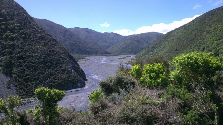 Remutaka Forest Park Trip Packages