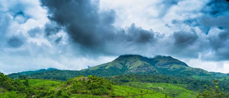 Chembara peak Trip Packages