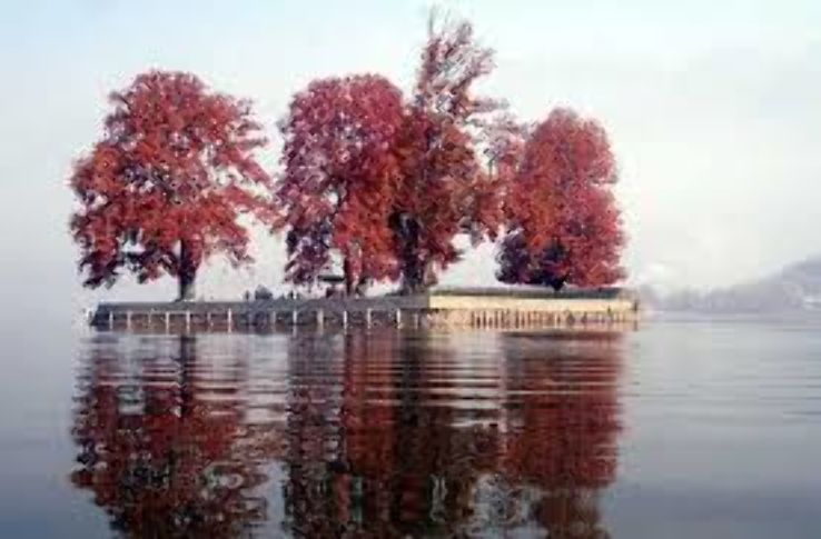 Char Chinar Trip Packages