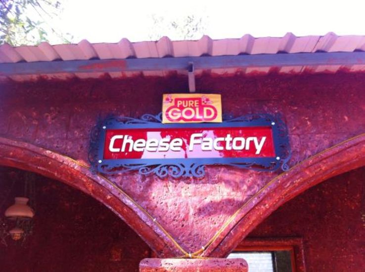 Cheese factory Trip Packages